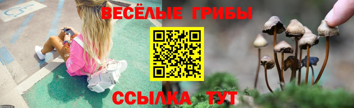 Галлюциногенные грибы GOLDEN TEACHER Каменка